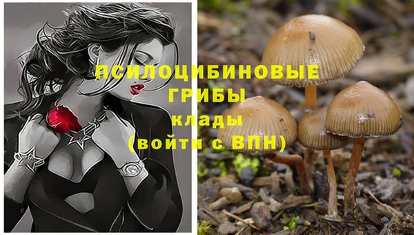 бошки Алексеевка