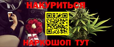 сатива Малгобек