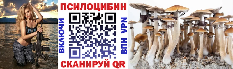 ссылка на мегу зеркало Тольятти Псилоцибиновые грибы Psilocybe дарнет шоп