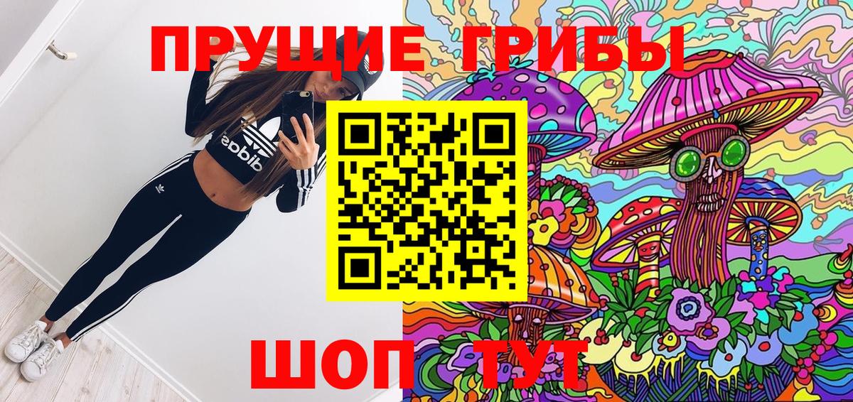 Галлюциногенные грибы Psilocybine cubensis  Псилоцибиновые грибы прущие грибы  Тольятти  цена   Вход с VPN 