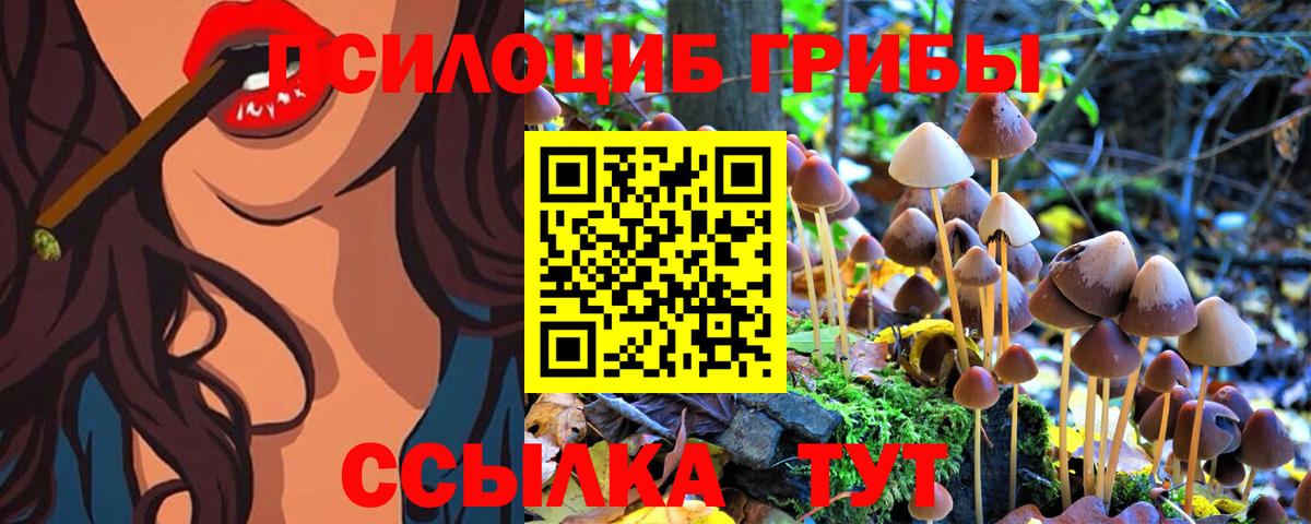 Галлюциногенные грибы Magic Shrooms Тольятти